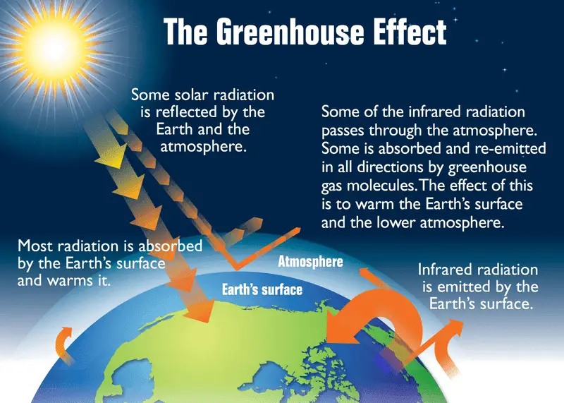 example of how the greenhouse gases affect our environment https://greener4life.com