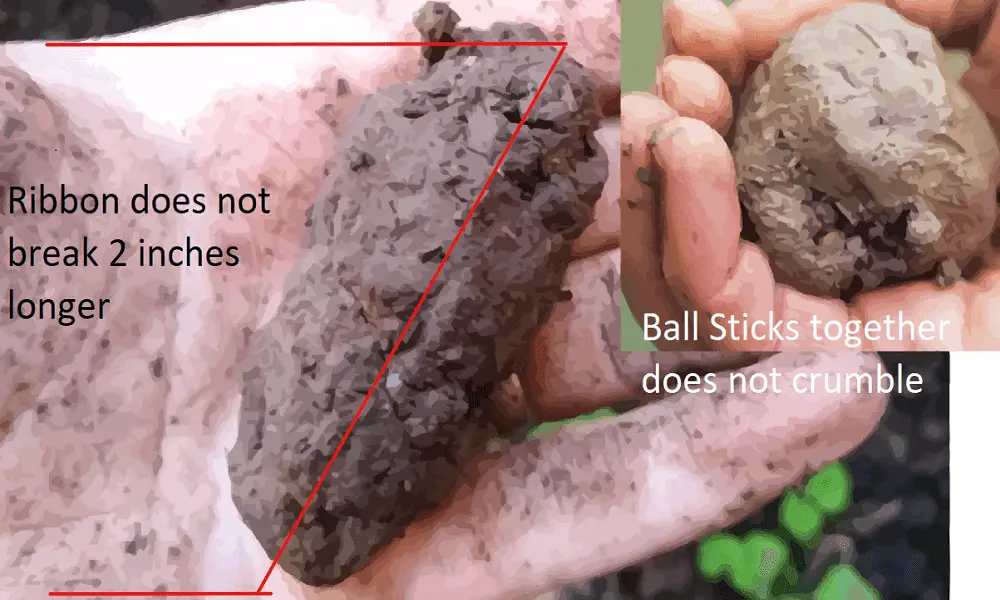 Example of how to fotate different crops in the field for planting. https://greener4life.com