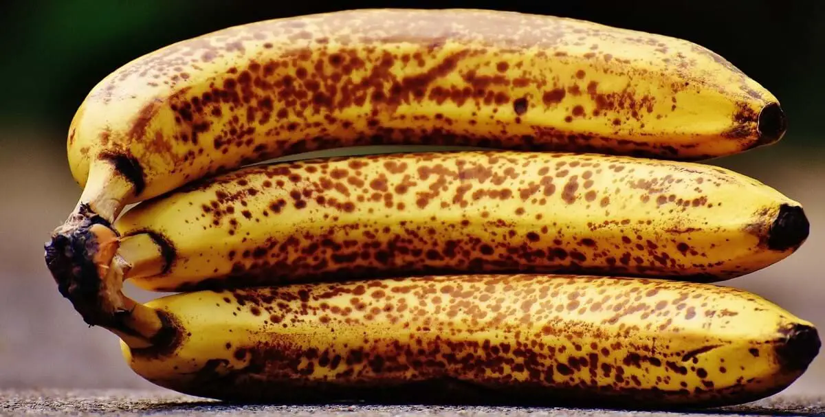 group of ripe bananas https://greener4life.com/blog/banana-peel-fertilizer
