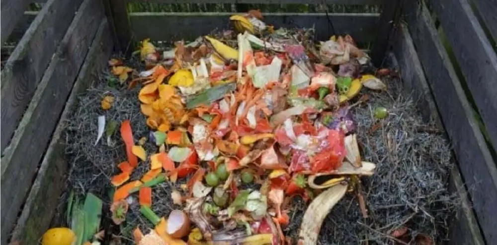 pile of organic material for compost https://greener4life.com