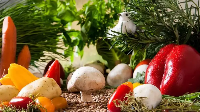 different vegetables showing plant diversity https://greener4life.com/blog/monoculture-and-food-security