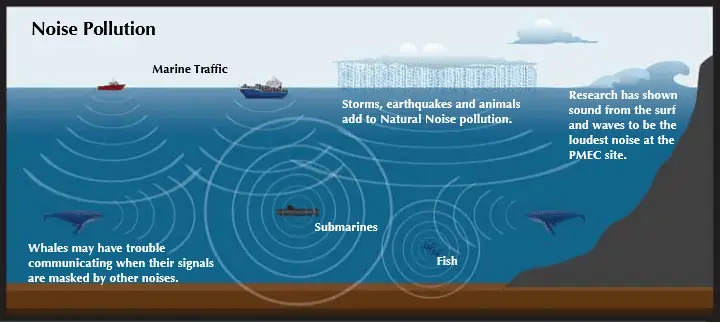 the different ways wave energy converter Electromagnetic fields affect the feeding and orientation of some marine species https://greener4life.com